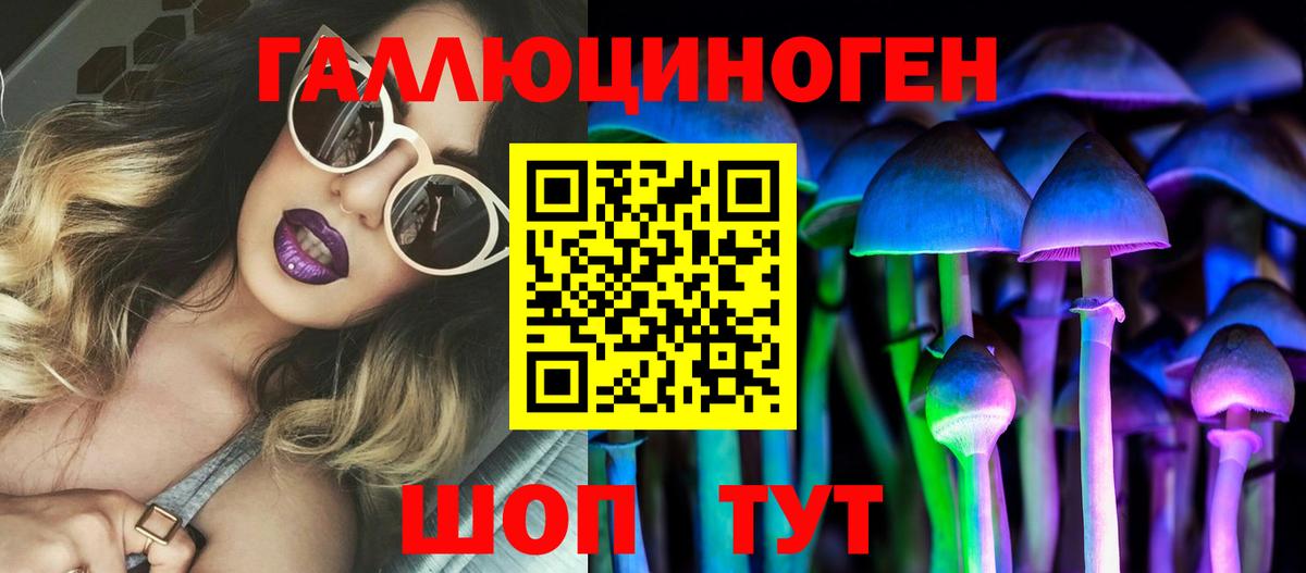 Чернушка  Галлюциногенные грибы мицелий  Вход с VPN 