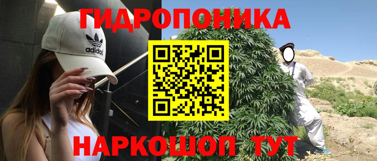 Канабис White Widow Чернушка